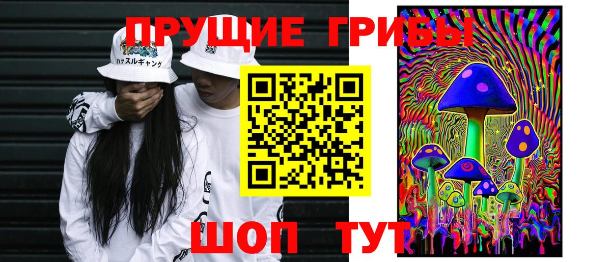 Псилоцибиновые грибы Cubensis  Вход с VPN  Медногорск 